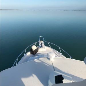 Meet your Posher, Sofia